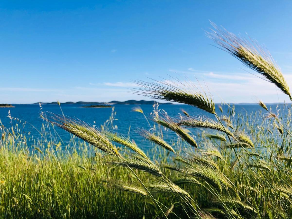 Ecobeachvilla Buqez 9 Pakoštane Exteriér fotografie