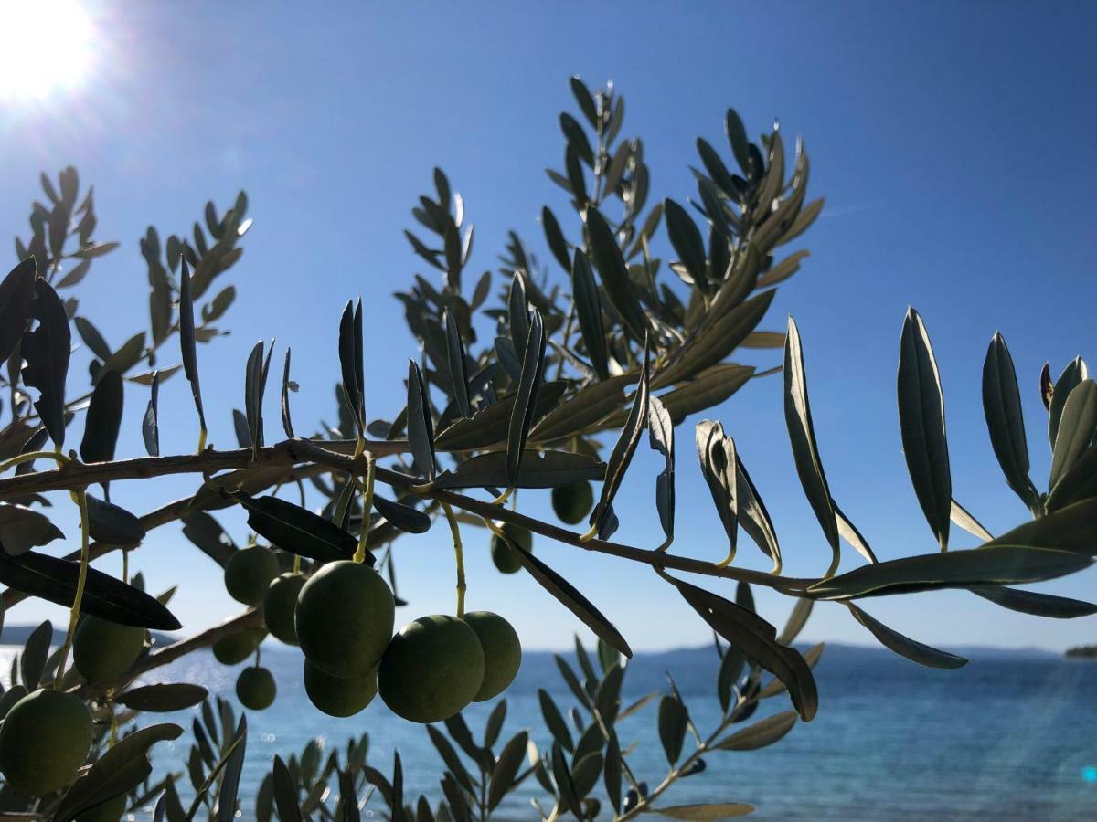 Ecobeachvilla Buqez 9 Pakoštane Exteriér fotografie